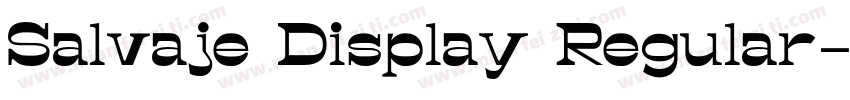 Salvaje Display Regular字体转换